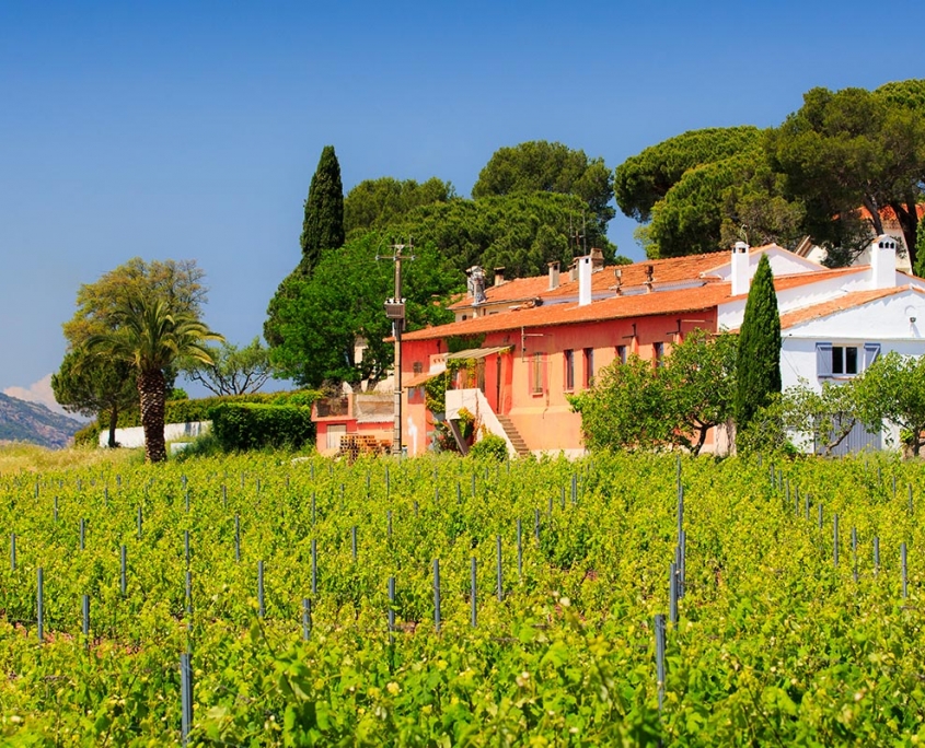 Paquette-chateau-vigne-vu